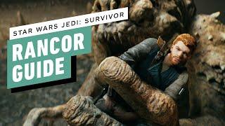 IGN - Star Wars Jedi: Survivor - How to Kill the Rancor