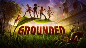 Grounded [PC]