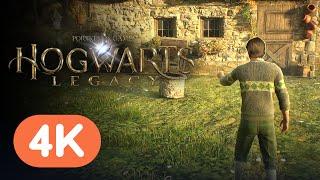 IGN - Hogwarts Legacy - Official Vivarium Beast Care Gameplay (4K)