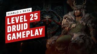 IGN - Diablo 4 Beta Gameplay - Level 25 Druid Dungeon Gameplay
