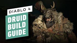 IGN - Diablo 4: Best Druid Builds - Does It Need a Buff?