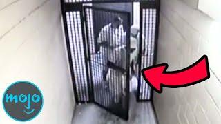 WatchMojo.com - Top 10 Prison Escapes Caught on Camera