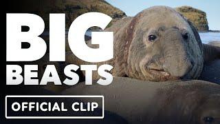 IGN - Big Beasts - Exclusive Official Clip (2023) Tom Hiddleston