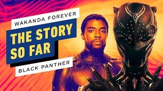 IGN - Black Panther: Wakanda Forever and Tragedy in the MCU | The Story So Far