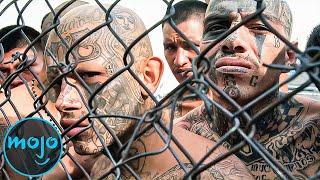WatchMojo.com - 10 Notorious Gangs That Are STILL ACTIVE